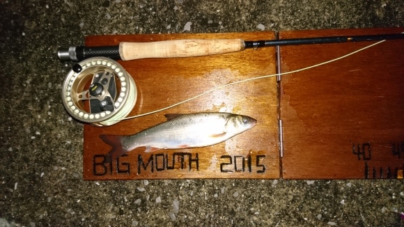 東京湾 Night Fishing / Big mouth様